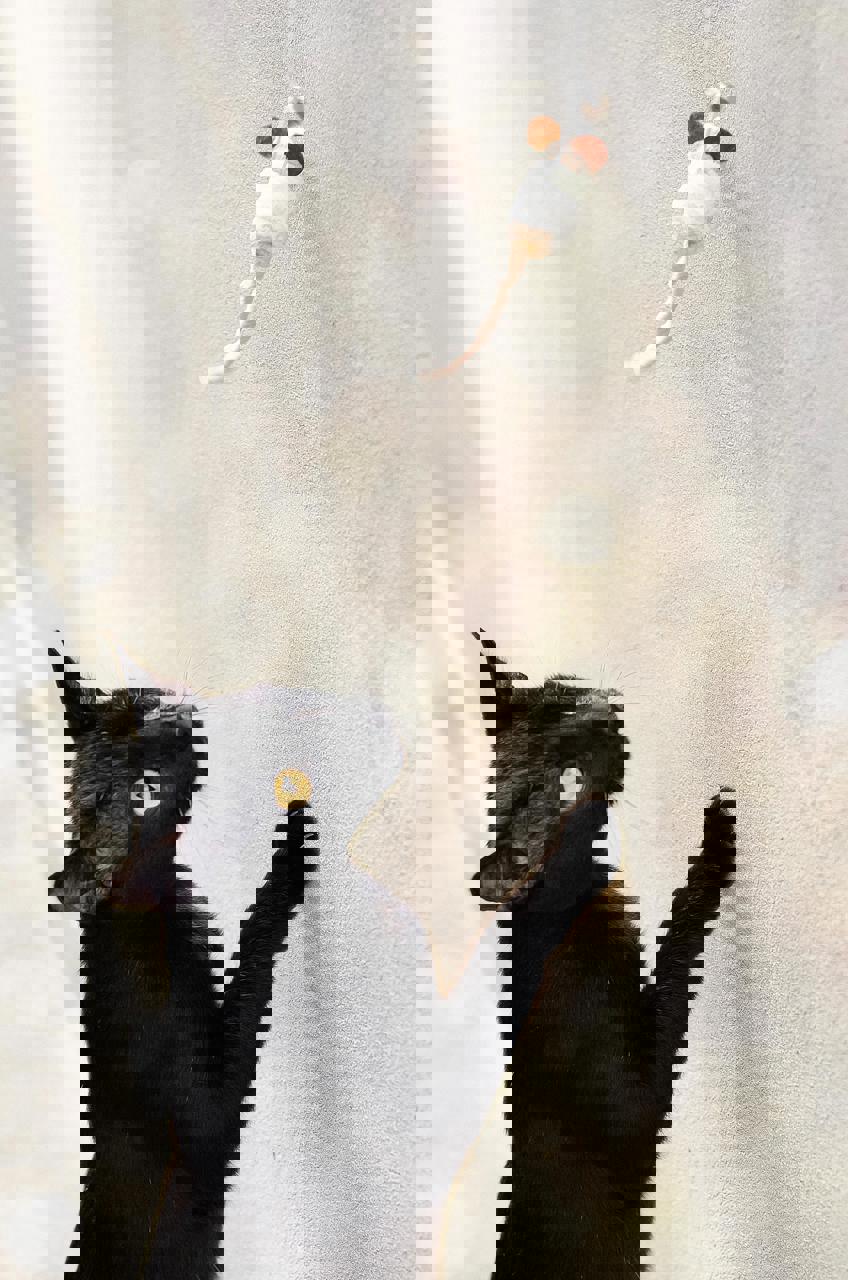 Gato PANTERA en adopción